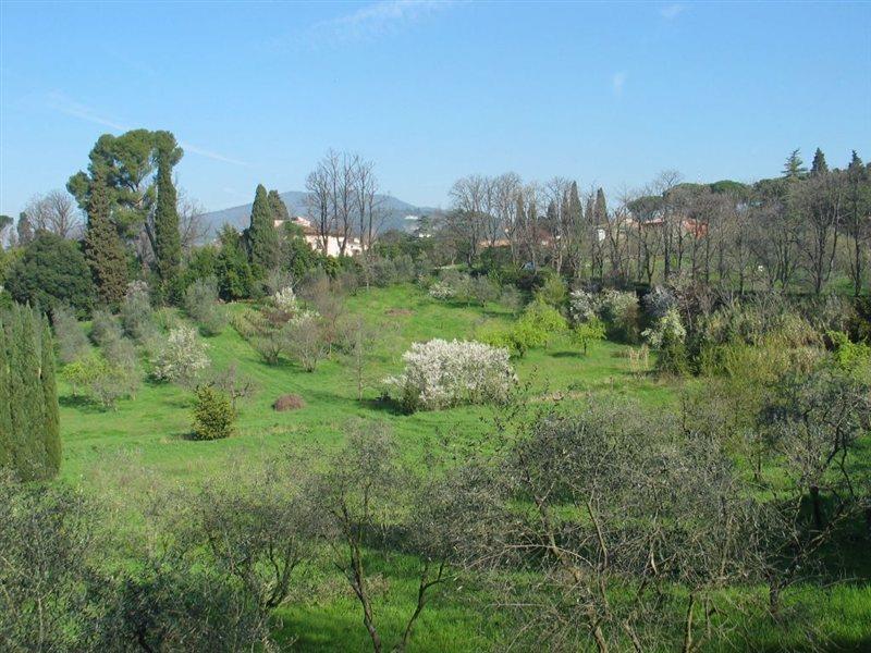 Villa Ulivi Firenze Esterno foto